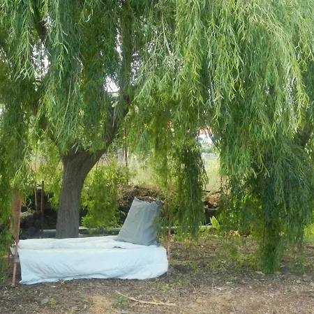 度假居 Wunderschone Finca In